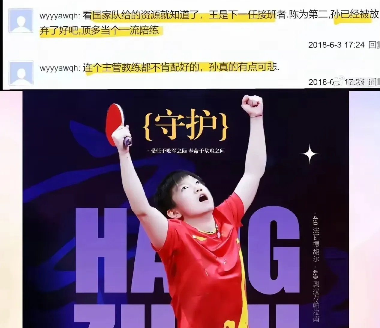 包含中国羽毛球队横扫日本羽毛球队，辛杜惊艳世界的词条