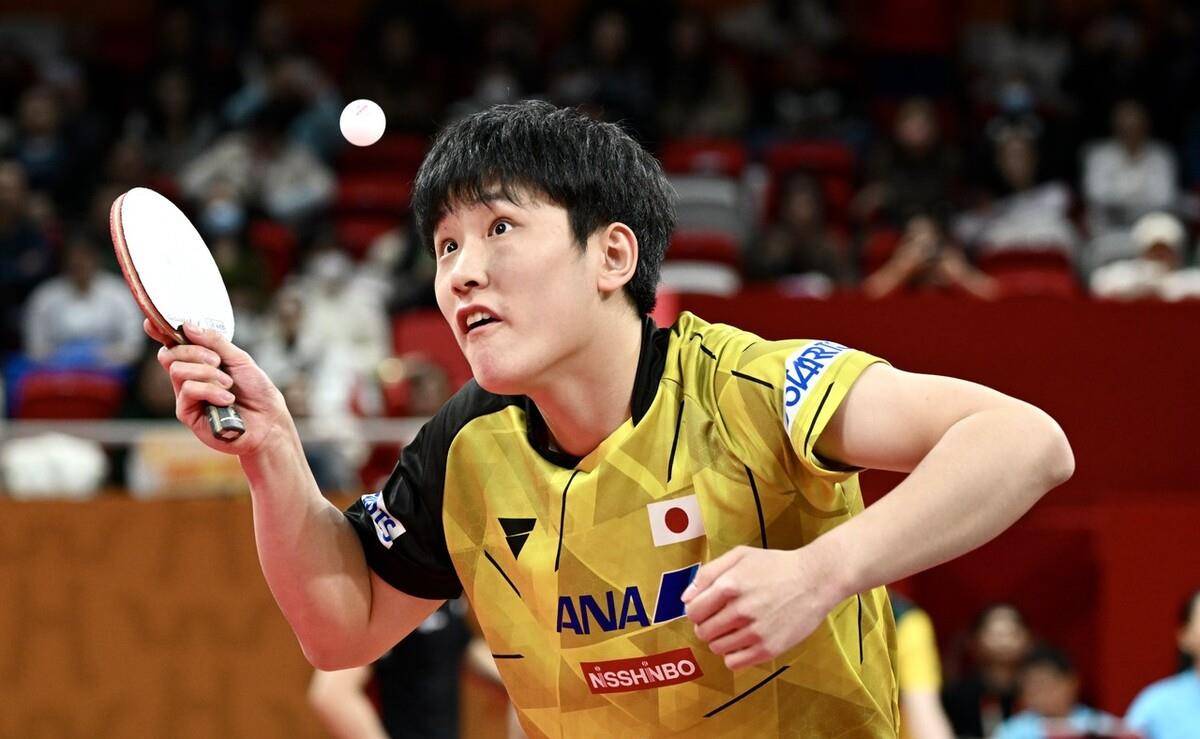 日本乒乓球队爆冷德国乒乓球队，张本智和完成帽子戏法的简单介绍