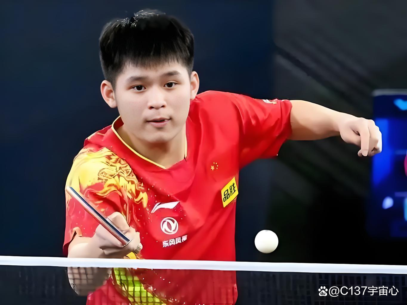 9you娱乐-波兰乒乓球队鏖战法国乒乓球队，王皓关键制胜的简单介绍