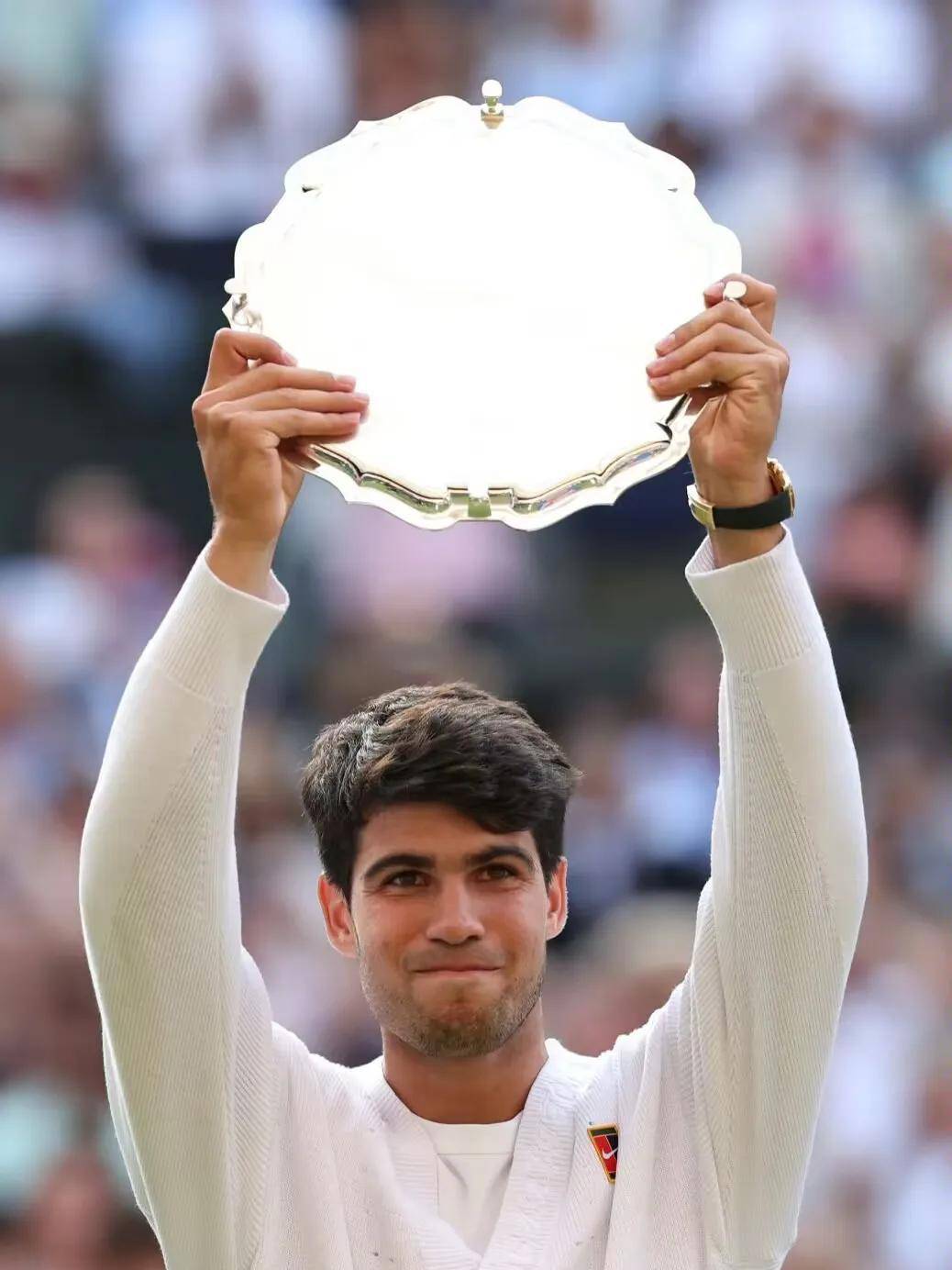 法网逆转戴维斯杯，阿尔卡拉斯点燃赛场的简单介绍