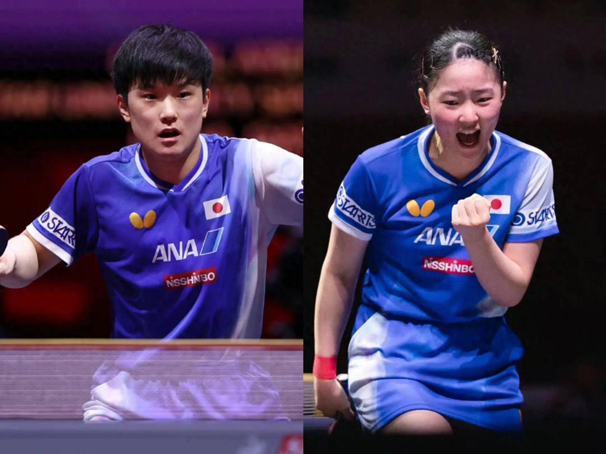 中国队碾压韩国队，张本智和惊艳四座的简单介绍