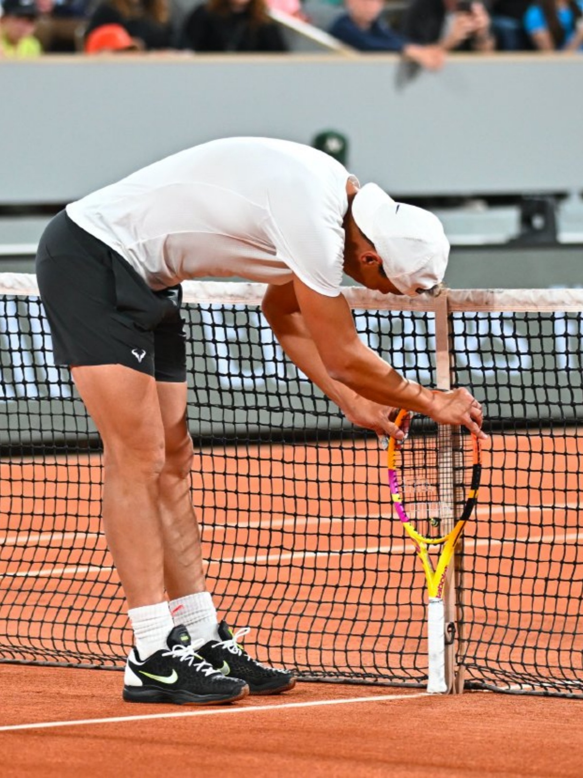 包含戴维斯杯翻盘美网，纳达尔状态火热的词条